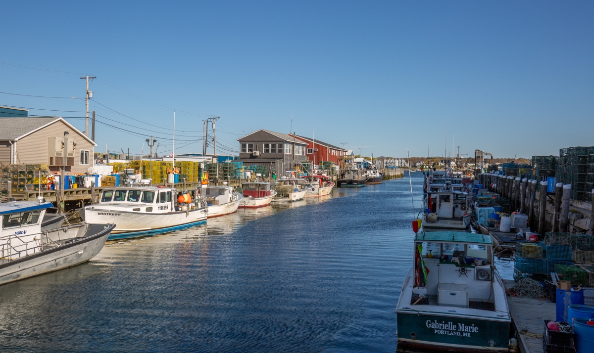 2024 Things To Do In Portland Maine   Working Waterfront By Serena Folding 